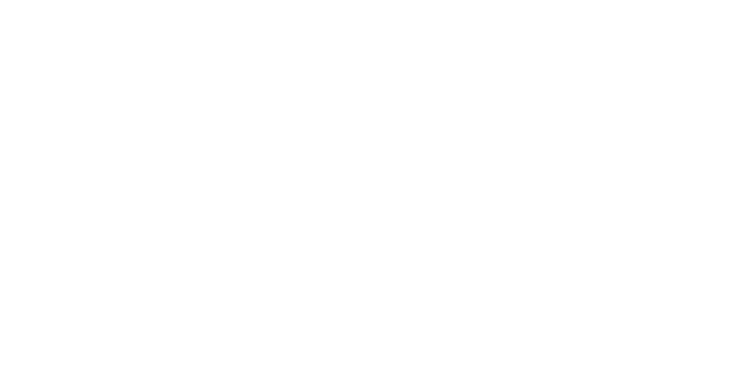 Solidaridad en Marcha
